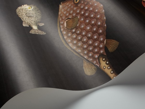 Papier peint Acquario 97-10048 - COLE and SON