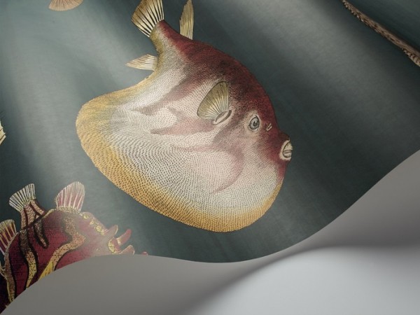 Papel de parede Acquario 114-12024 - COLE and SON