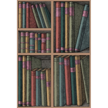 Papier peint Ex Libris 114-5010 - COLE and SON