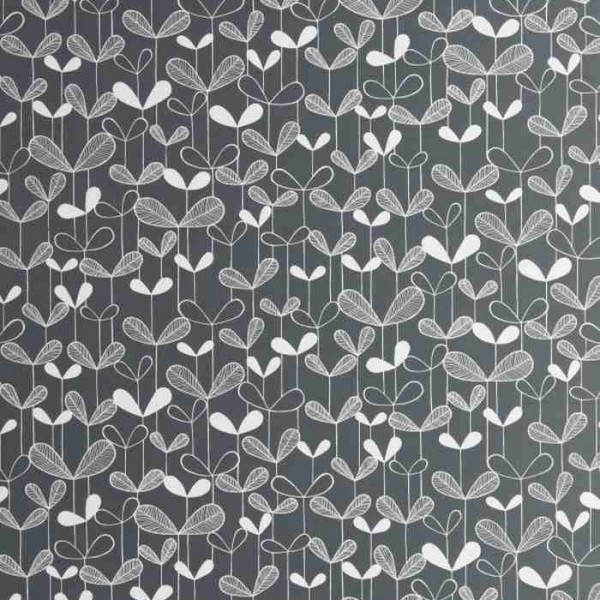 Papier peint MISP1261 SAPLINGS Graphite - MISSPRINT Papier peint MISP1261 SAPLINGS Graphite - MISSPRINT