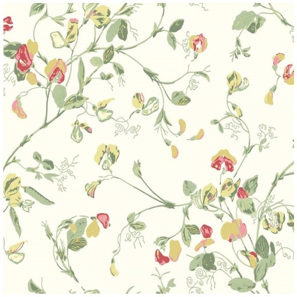 Wallpaper Sweet Pea 100-6027 - COLE and SON Wallpaper Sweet Pea 100-6027 - COLE and SON