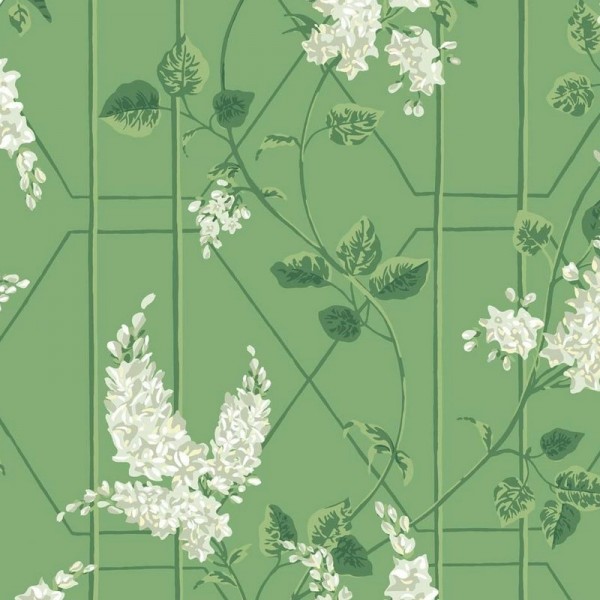 Papel de parede Wisteria 115-5016 - COLE and SON Papel de parede Wisteria 115-5016 - COLE and SON