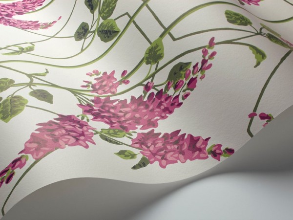 Papel de parede Wisteria 115-5013 - COLE and SON