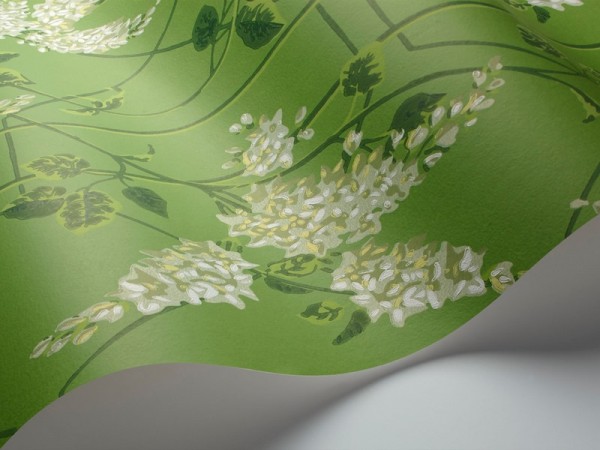 Papel de parede Wisteria 115-5016 - COLE and SON