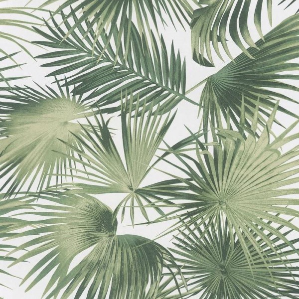 Papel de parede WIL104 RATAN GREENERY - KHROMA Papel de parede WIL104 RATAN GREENERY - KHROMA