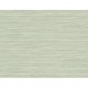 BW40914 GRASSCLOTH TEXTURA