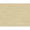 BW40915 GRASSCLOTH TEXTURA