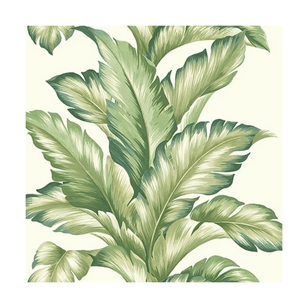 Wallpaper TP81204 BIG LEAF - WALLQUEST Wallpaper TP81204 BIG LEAF - WALLQUEST