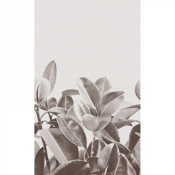 Papier peint RUBBER PLANT 18056-2 - LONDON ART Papier peint RUBBER PLANT 18056-2 - LONDON ART