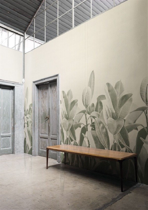 Papier peint RUBBER PLANT 18056-2 - LONDON ART