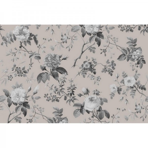 Papier peint R13075 THORN ROSE, EARLY RISE - REBEL WALLS Papier peint R13075 THORN ROSE, EARLY RISE - REBEL WALLS