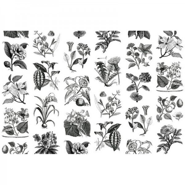 Papier peint R13171 FRUIT & FLORA - REBEL WALLS Papier peint R13171 FRUIT & FLORA - REBEL WALLS