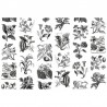 Papier peint R13171 FRUIT & FLORA - REBEL WALLS