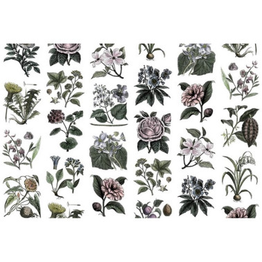 Papel Pintado R13172 FRUIT & FLORA, COLOR - REBEL WALLS