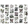 Carta da Parati R13172 FRUIT & FLORA, COLOR - REBEL WALLS