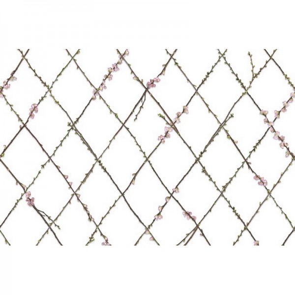 Papier peint R13221 WINDING SPRING - REBEL WALLS Papier peint R13221 WINDING SPRING - REBEL WALLS