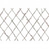Papier peint R13221 WINDING SPRING - REBEL WALLS