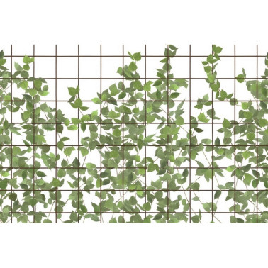 Papel de parede R13993 CLIMBING CLOROFYL - REBEL WALLS