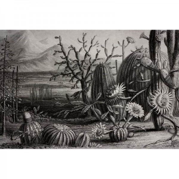 Papel de parede R15741 CACTUS GARDEN - REBEL WALLS Papel de parede R15741 CACTUS GARDEN - REBEL WALLS