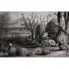 Papel de parede R15741 CACTUS GARDEN - REBEL WALLS
