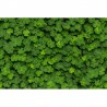 Papel de parede R15841 CLOVER - REBEL WALLS