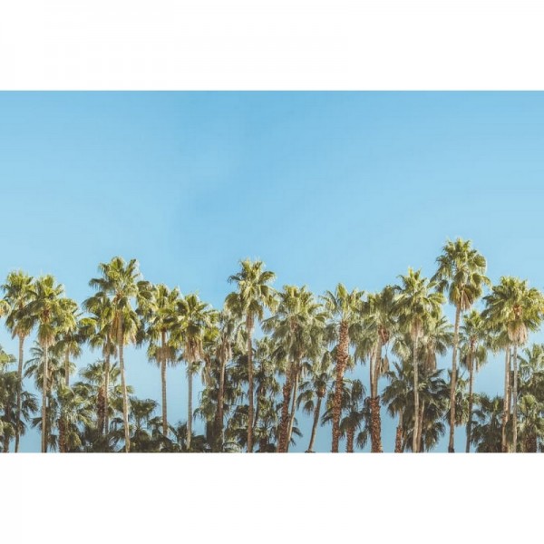 Papel de parede R16051 RIVIERA DAYDREAM - REBEL WALLS Papel de parede R16051 RIVIERA DAYDREAM - REBEL WALLS