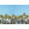 Papel de parede R16051 RIVIERA DAYDREAM - REBEL WALLS