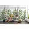 Papel Pintado R13993 CLIMBING CLOROFYL - REBEL WALLS