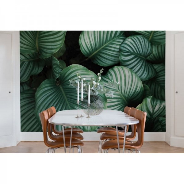 Papel de parede R15831 BEETLE VALLEY - REBEL WALLS