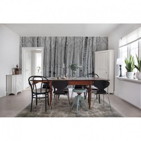 Papel de parede R16061 BIRCH ECHO - REBEL WALLS