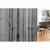 Papel de parede R16061 BIRCH ECHO - REBEL WALLS