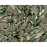 Tapete FLORIANOPOLIS WDFL1801 - WALL AND DECO