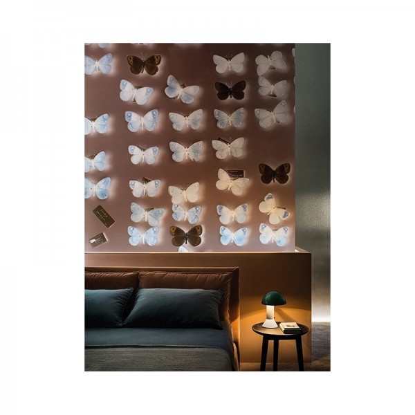 Papel Pintado X-RAY WDXR1801 - WALL AND DECO