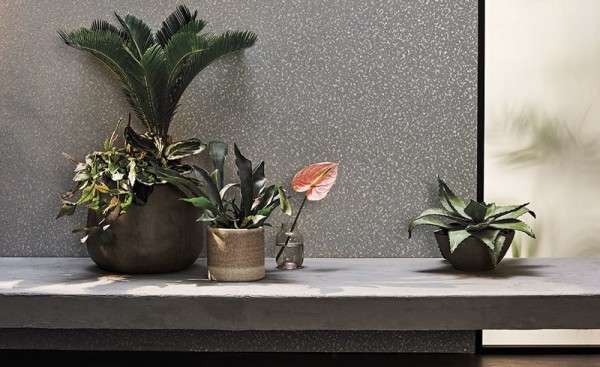 Wallpaper W421-04 Sapo Gris - ROMO