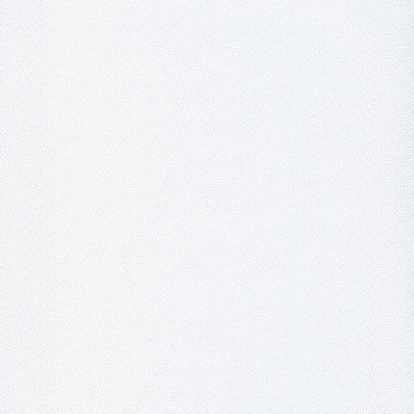 Papier peint HYGGE 100400101 - Caselio