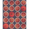 Wallpaper Arance 114-24046 - COLE and SON