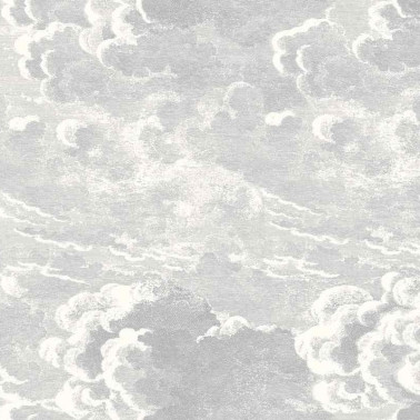 Carta da Parati Nuvolette 114-28055 - COLE and SON