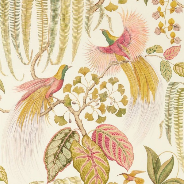 Papel de parede BIRD OF PARADISE DGLW216653 Olive - Sanderson Papel de parede BIRD OF PARADISE DGLW216653 Olive - Sanderson
