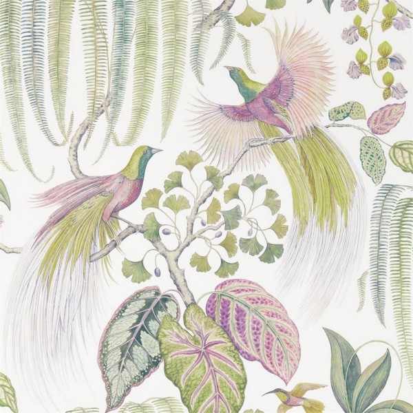 Papier peint BIRD OF PARADISE DGLW216654 Orchid - Sanderson Papier peint BIRD OF PARADISE DGLW216654 Orchid - Sanderson