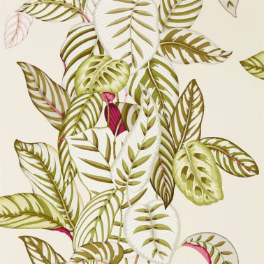 Tapete CALATHEA DGLW216631 Olive - Sanderson