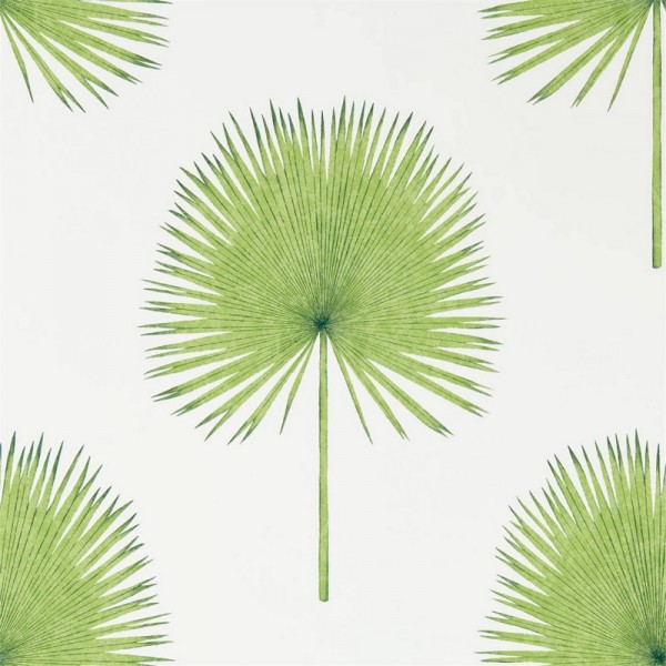 Papier peint FAN PALM DGLW216636 Botanical Green - Sanderson Papier peint FAN PALM DGLW216636 Botanical Green - Sanderson