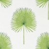 FAN PALM DGLW216636 Verde botânico