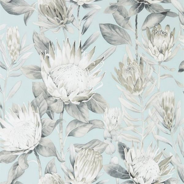 Wallpaper KING PROTEA DGLW216645 Aqua/Linen - Sanderson Wallpaper KING PROTEA DGLW216645 Aqua/Linen - Sanderson