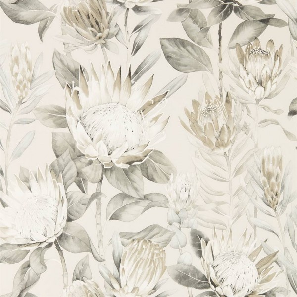 Wallpaper KING PROTEA DGLW216647 Linen/Mica - Sanderson Wallpaper KING PROTEA DGLW216647 Linen/Mica - Sanderson