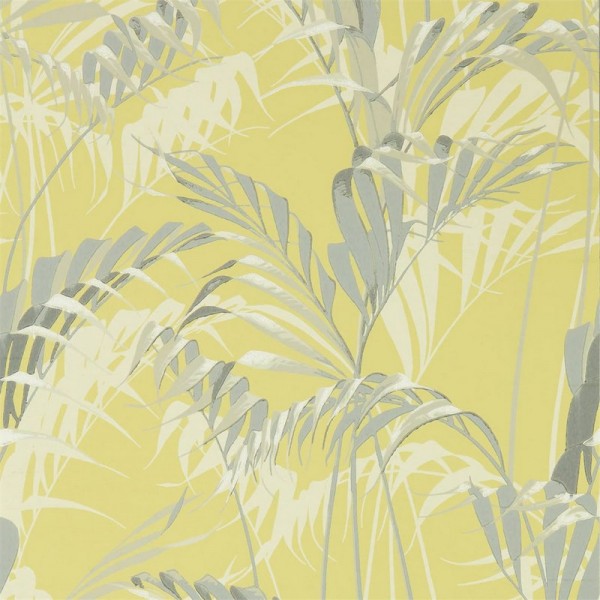 Tapete PALM HOUSE DGLW216642 Chartreuse/Grey - Sanderson Tapete PALM HOUSE DGLW216642 Chartreuse/Grey - Sanderson