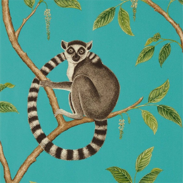 Carta da Parati RINGTAILED LEMUR DGLW216663 Teal - Sanderson