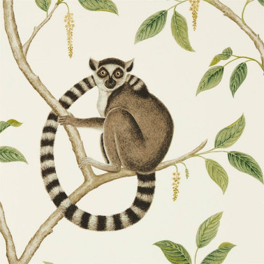 Tapete RINGTAILED LEMUR DGLW216664 Cream/Olive - Sanderson