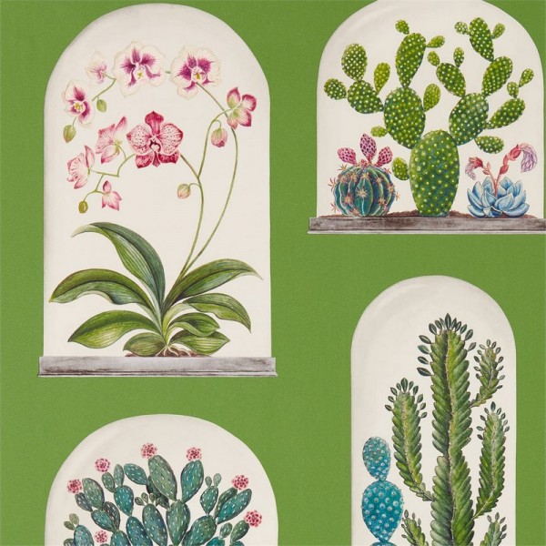Wallpaper TERRARIUMS DGLW216656 Botanical Green/Multi - Sanderson Wallpaper TERRARIUMS DGLW216656 Botanical Green/Multi - Sanderson