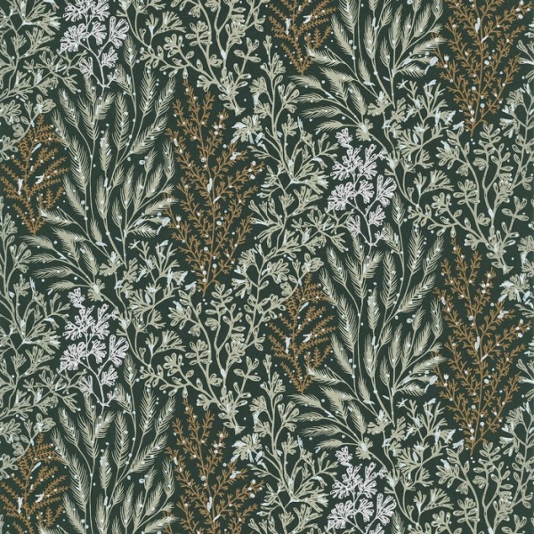 Wallpaper Isoete 74350324 - CASAMANCE Wallpaper Isoete 74350324 - CASAMANCE