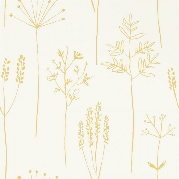 Tapete Stipa 112021 Honey - SCION Tapete Stipa 112021 Honey - SCION